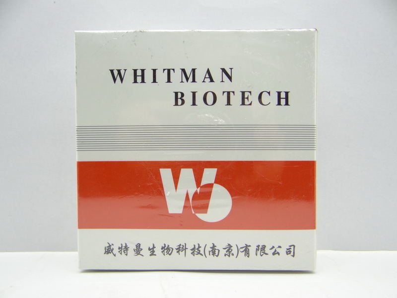 尿微量白蛋白临床意义